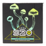 Room 920 - Mushroom Chocolate Bar - Dark Chocolate Mint - 3 grams | Funguyz Canada