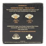 Room 920 – Mushroom Chocolate Bar - Milk Chocolate - 3 Grams | Funguyz Canada