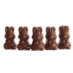 Alice - Mushroom Milk Chocolate - 2.5g | Funguyz Canada