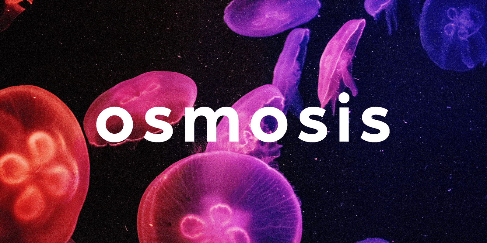 Zoomies osmosis banner | Funguyz Canada