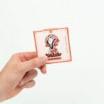 Wonder – Psilocybin Chocolate Bar – Blood Orange | Funguyz Canada
