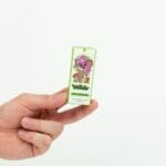 Wonder – Psilocybin Chocolate Bar – Dark Chocolate | Funguyz Canada