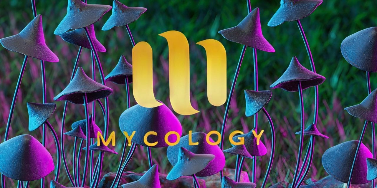 Zoomies Summer 2023 Banner - Mycology | Funguyz Canada