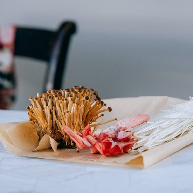 Buy Shrooms Online Canada (1) | Funguyz Canada