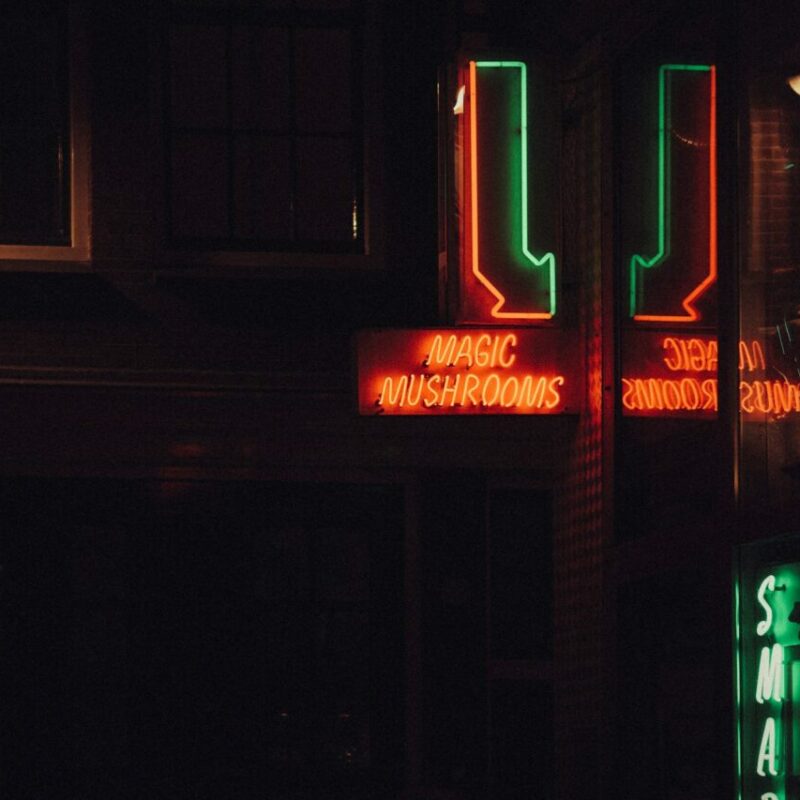 Mushroom Dispensary Vancouver | Funguyz Canada