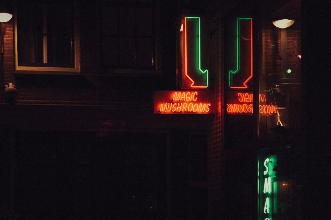 Vancouver’s Mushroom Dispensary – Understanding Canada’s Progress in the Mushroom Boom Following the US